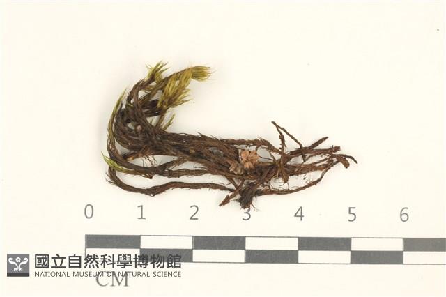 登錄號:B00012002藏品圖，第1張