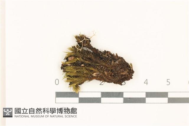 登錄號:B00005002藏品圖，第1張