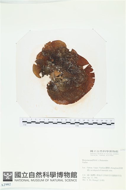 登錄號:A00002902藏品圖，第1張