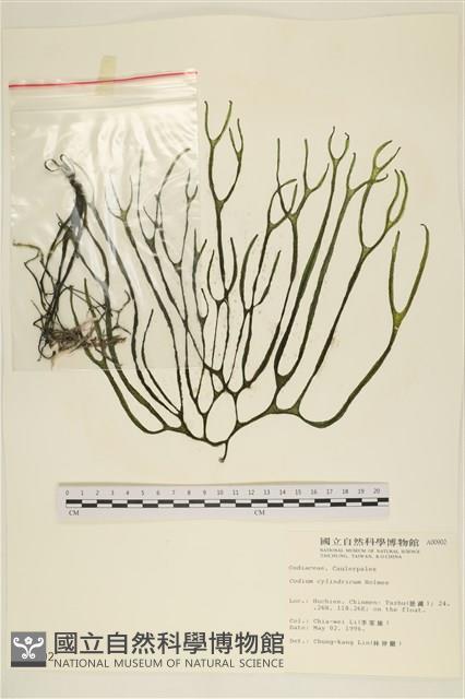 登錄號:A00000902藏品圖，第1張