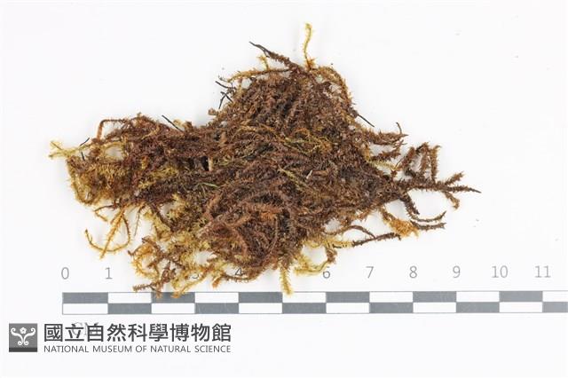 登錄號:B00015802藏品圖，第1張
