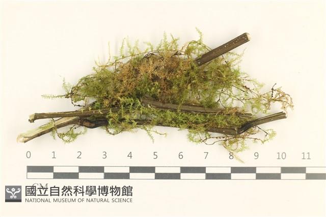 登錄號:B00010802藏品圖，第1張