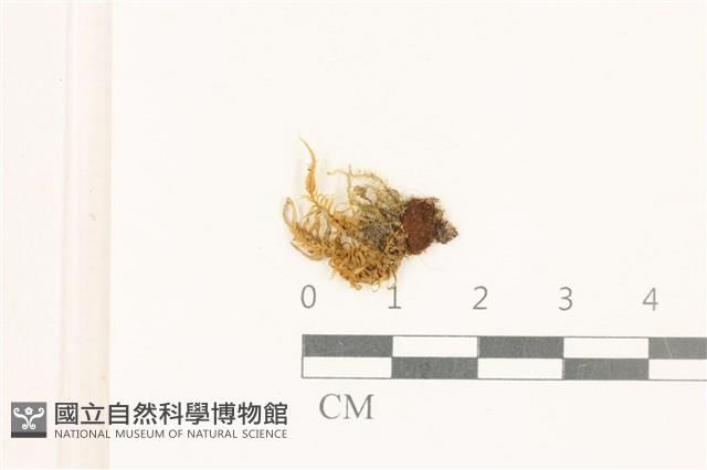登錄號:B00021302藏品圖，第1張