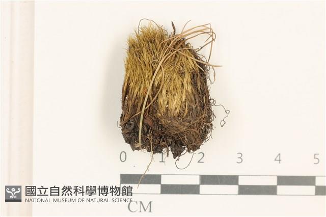 登錄號:B00001302藏品圖，第1張