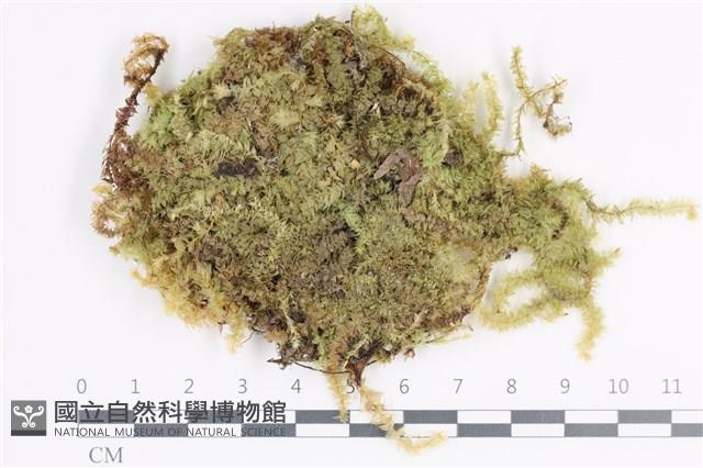 登錄號:B00006082藏品圖，第1張