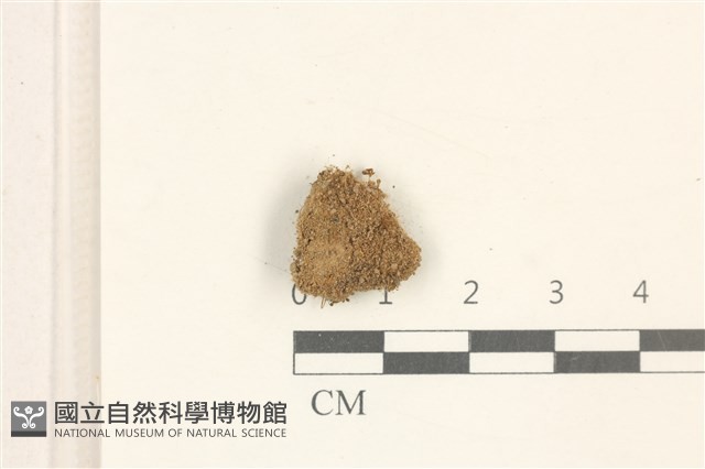 登錄號:B00010482藏品圖，第1張