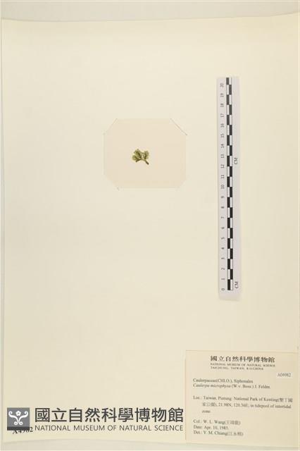 登錄號:A00004982藏品圖，第3張