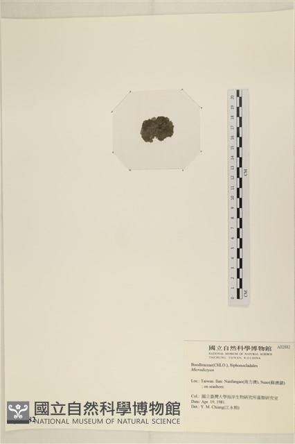 登錄號:A00002882藏品圖，第3張