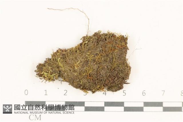 登錄號:B00014882藏品圖，第1張