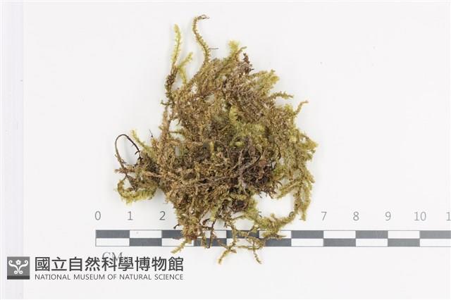 Accession Number:B00011382 Collection Image, Figure 1, Total 2 Figures