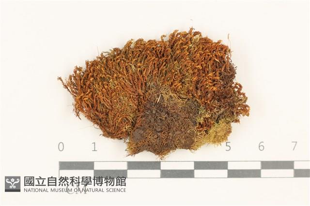 登錄號:B00017938藏品圖，第1張