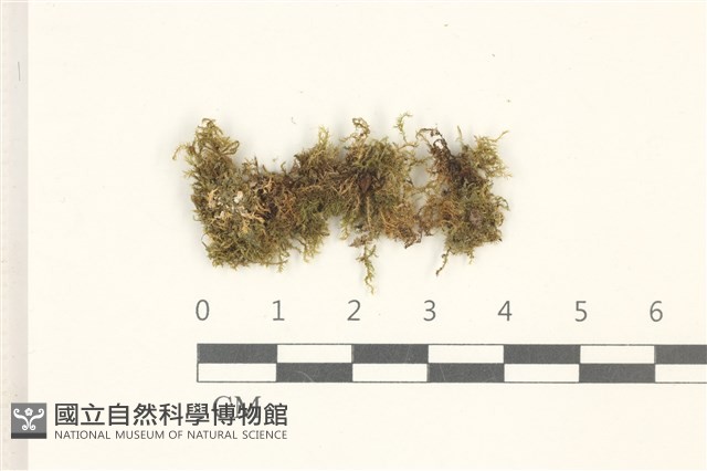 登錄號:B00010938藏品圖，第1張