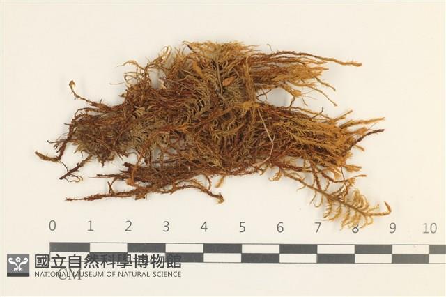 登錄號:B00002958藏品圖，第1張