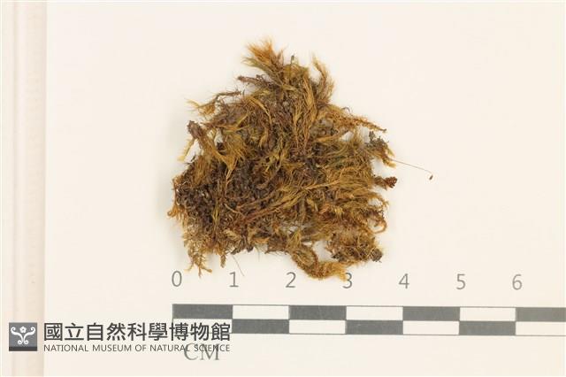 登錄號:B00008858藏品圖，第1張