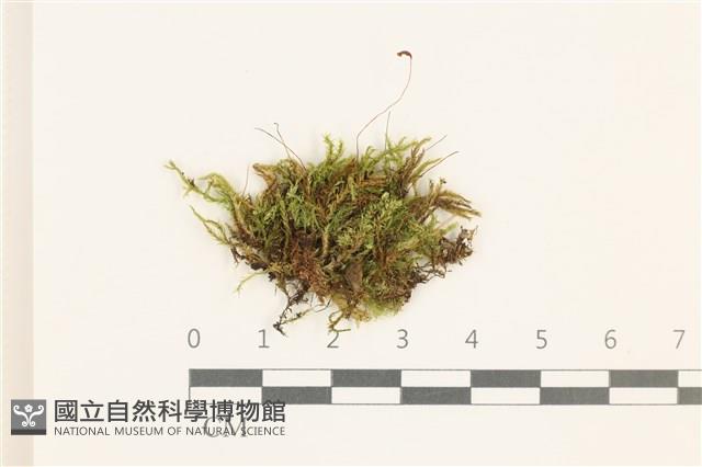 登錄號:B00014858藏品圖，第1張