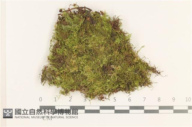 登錄號:B00012928藏品圖，第1張