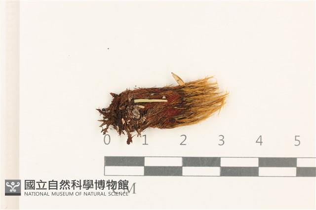 登錄號:B00004928藏品圖，第1張