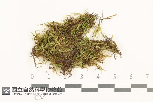 登錄號:B00010928藏品圖，第1張