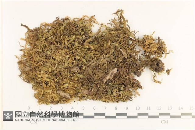 登錄號:B00010828藏品圖，第1張