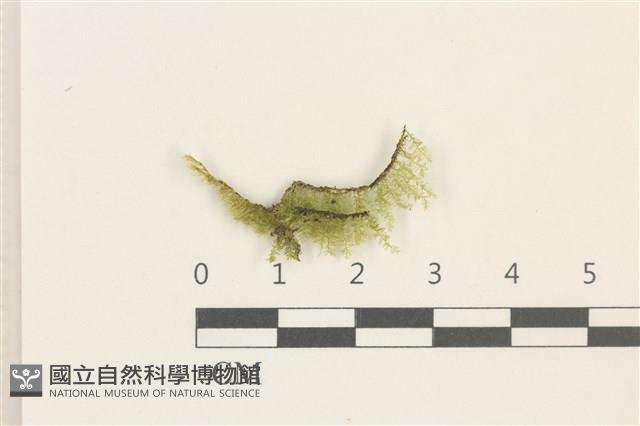 登錄號:B00020978藏品圖，第1張