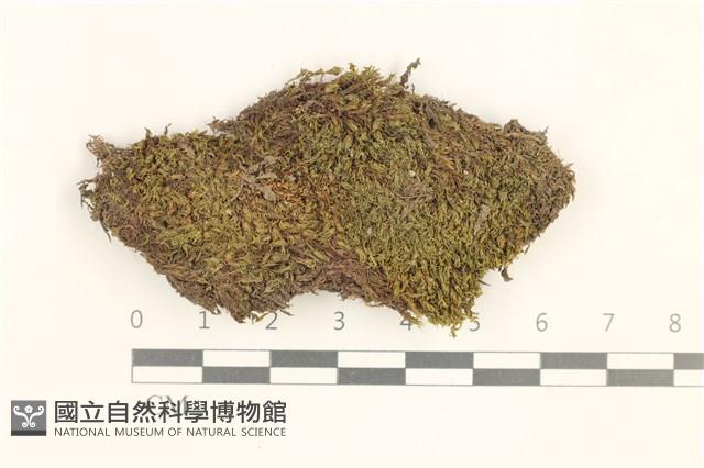 登錄號:B00021018藏品圖，第1張