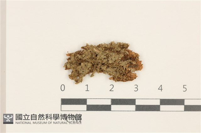 登錄號:B00004918藏品圖，第1張