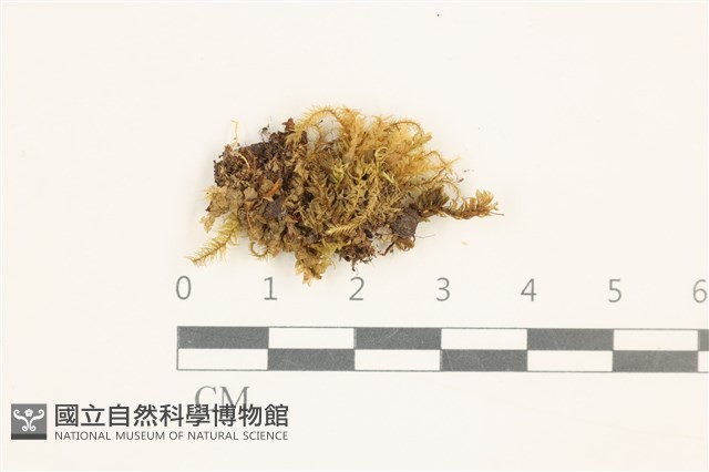 登錄號:B00002998藏品圖，第1張