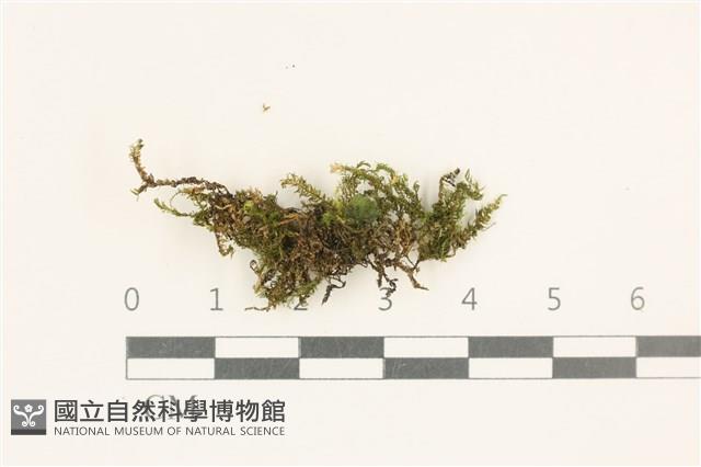 登錄號:B00020998藏品圖，第1張