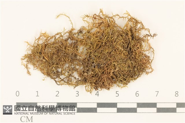 登錄號:B00004898藏品圖，第1張