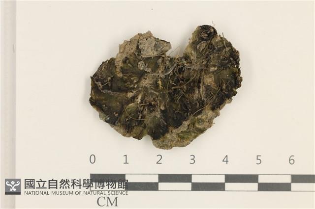 登錄號:B00003898藏品圖，第1張