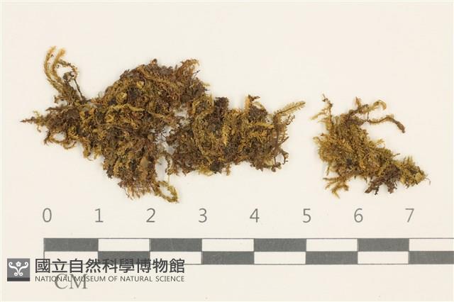 登錄號:B00008948藏品圖，第1張