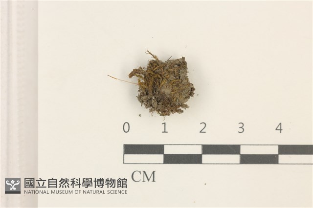 登錄號:B00014848藏品圖，第1張