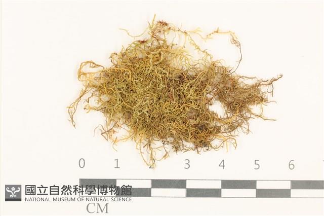 登錄號:B00015848藏品圖，第1張