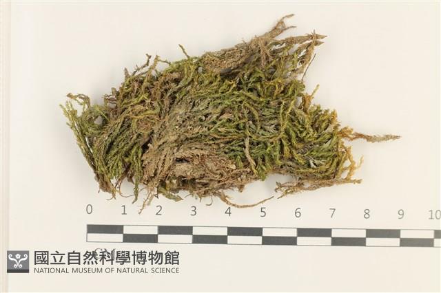 No.860335藏品圖，第1張