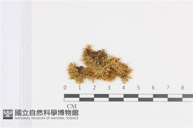 登錄號:B00008968藏品圖，第1張