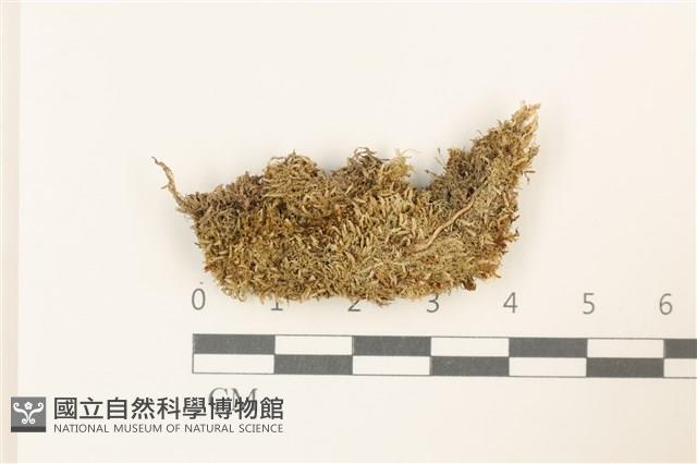 登錄號:B00016968藏品圖，第1張