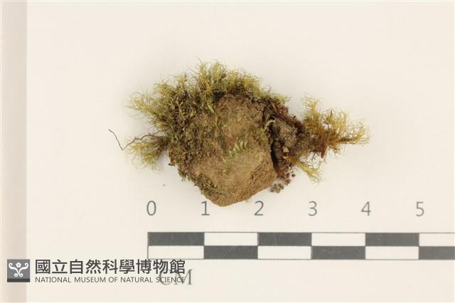 登錄號:B00010968藏品圖，第1張