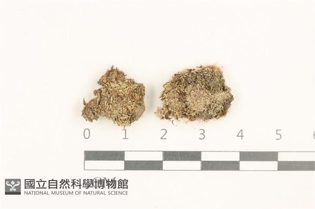 登錄號:B00014868藏品圖，第1張