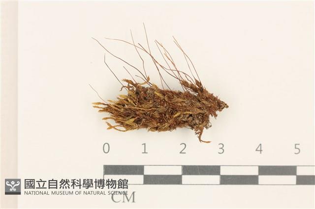 登錄號:B00015868藏品圖，第1張