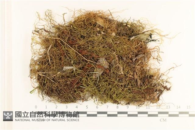 登錄號:B00010868藏品圖，第1張