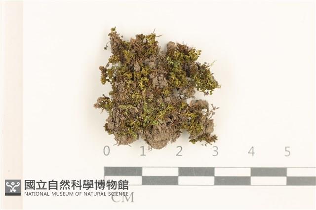 登錄號:B00016908藏品圖，第1張