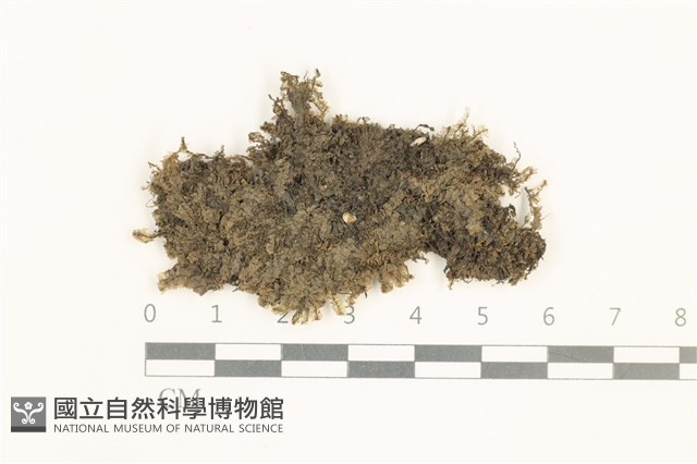 登錄號:B00014088藏品圖，第1張