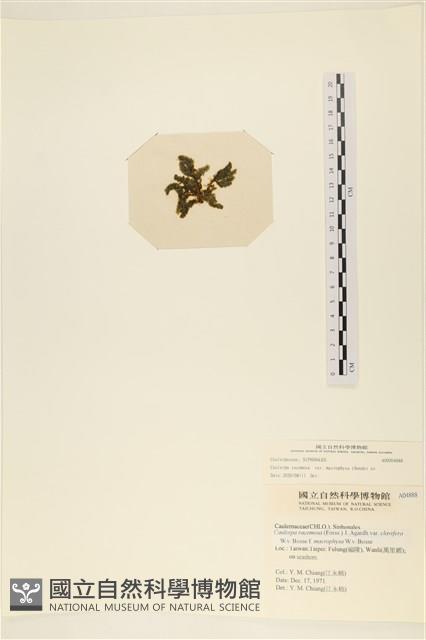 登錄號:A00004888藏品圖，第1張