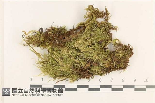 登錄號:B00012839藏品圖，第1張