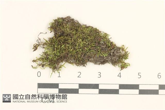 登錄號:B00015839藏品圖，第1張