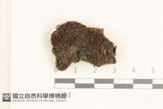 登錄號:B00016959藏品圖，第1張