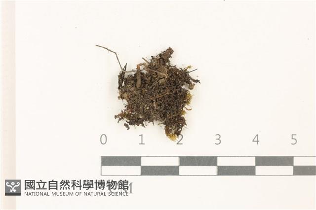 登錄號:B00010959藏品圖，第1張