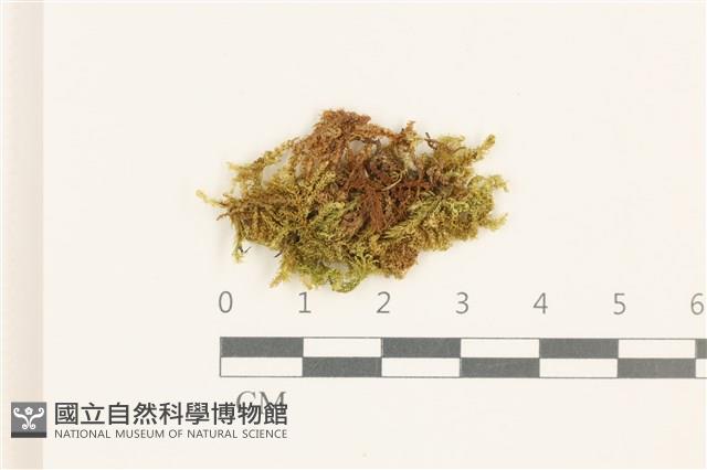 登錄號:B00014859藏品圖，第1張