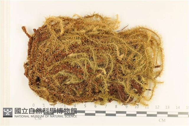 登錄號:B00001029藏品圖，第1張