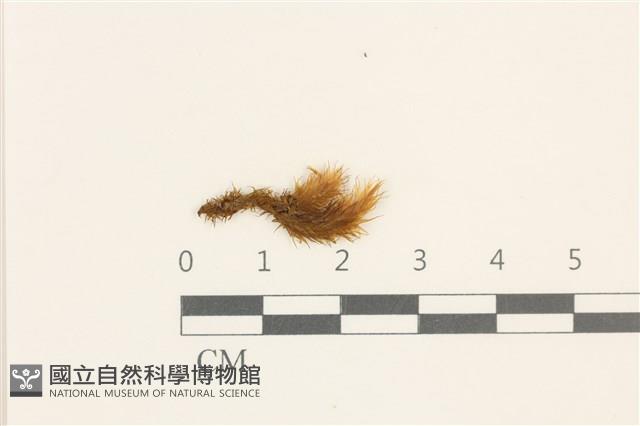 登錄號:B00008829藏品圖，第1張